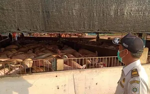 Perekonomian Dunia Terguncang Akibat Wabah Covid-19