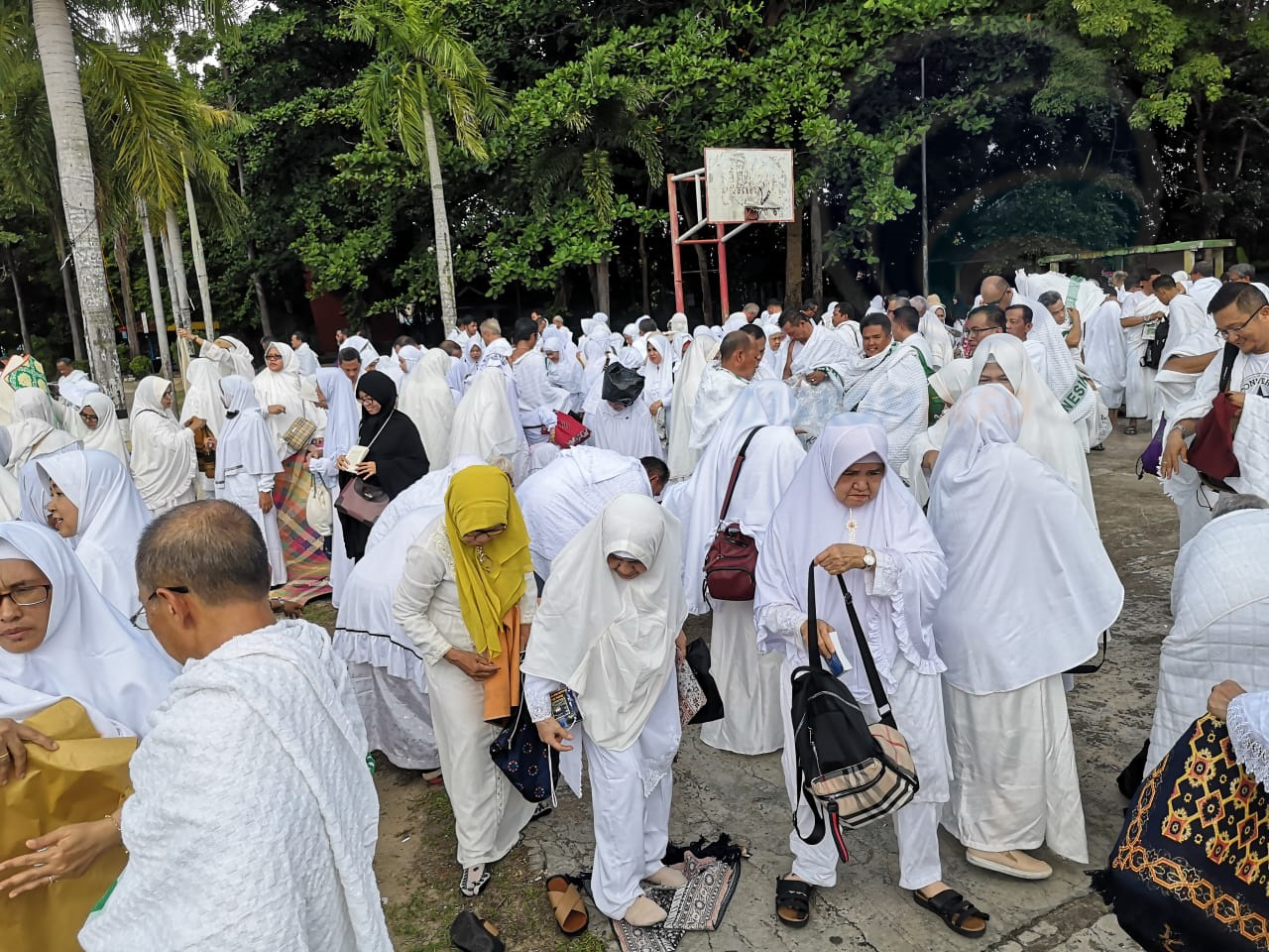 234 CJH Tanjungpinang Batal Berangkat ke Tanah Suci