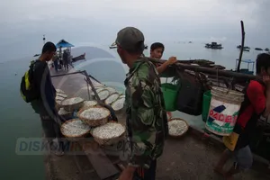 KNTI: Belasan Ribu Nelayan di Bintan Alami Masa Paceklik