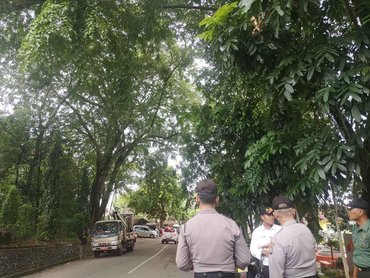 Antisipasi Cuaca Buruk, PUPR Tanjungpinang Rampal Pohon Berpotensi Membahayakan