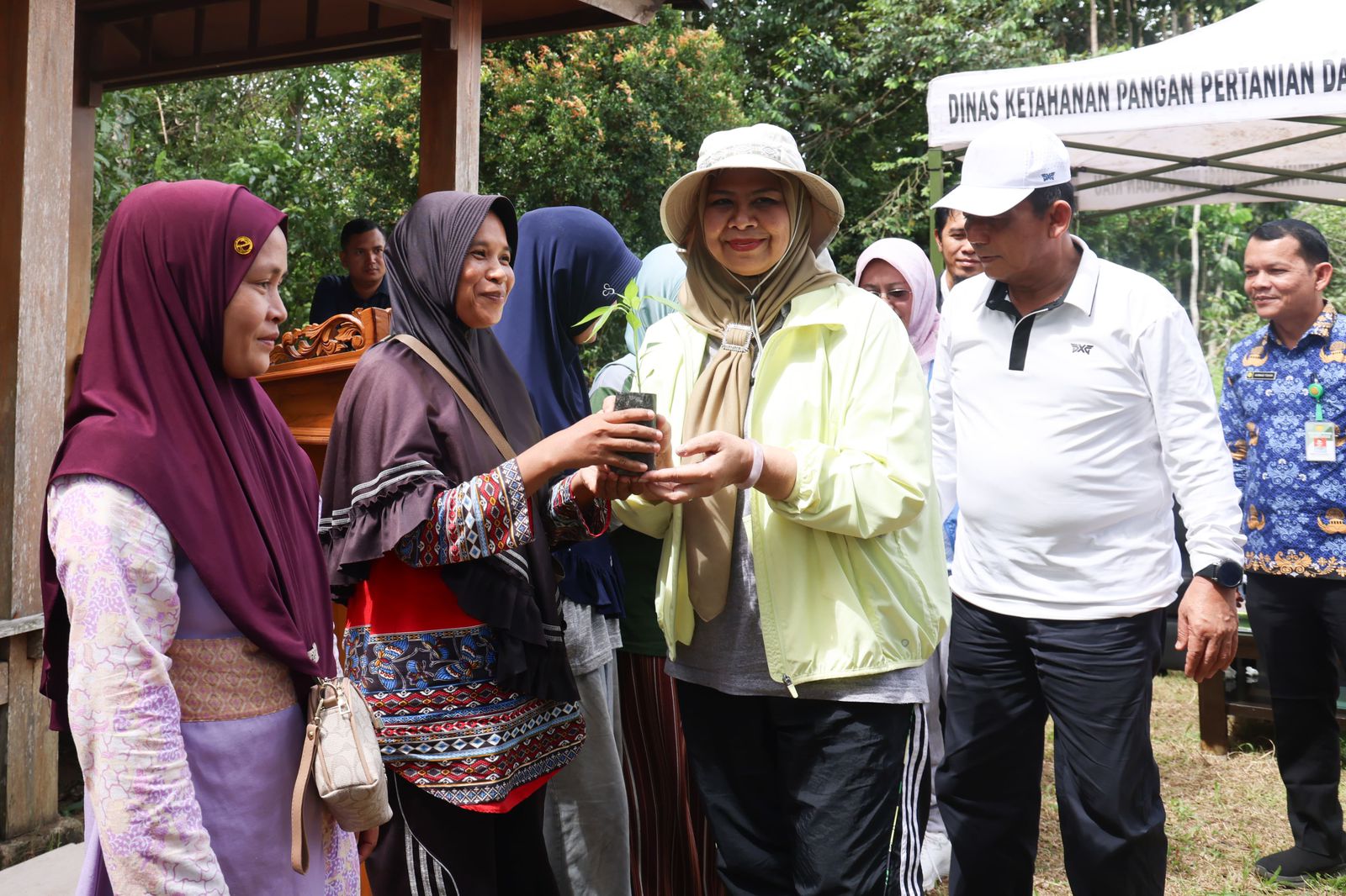 Pemprov  Kepri Bagikan Bibit Cabai Gratis, Ayo Manfaatkan Perkarangan Rumah