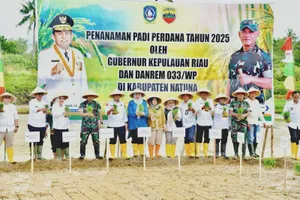 Tanam Perdana Padi di Natuna, Pemprov Kepri Perkuat Ketahanan Pangan