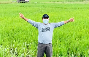 Rasakan Sensasi Panen Padi dan Bawa Pulang Berasnya