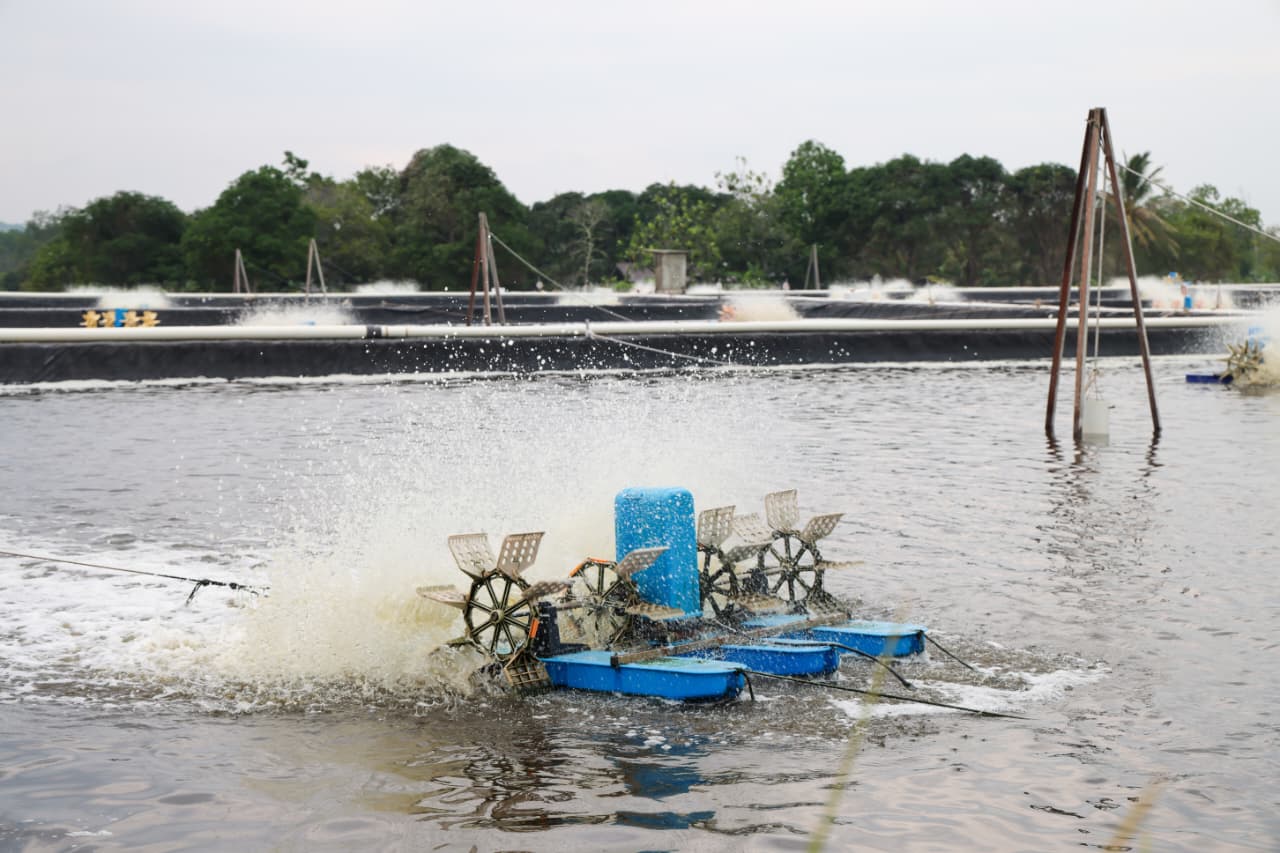 Komisi IX DPR RI Kunjungi PT Win Win Shrimp, Dorong Pengembangan Budidaya Udang Vaname dan Ketenagakerjaan di Kepri