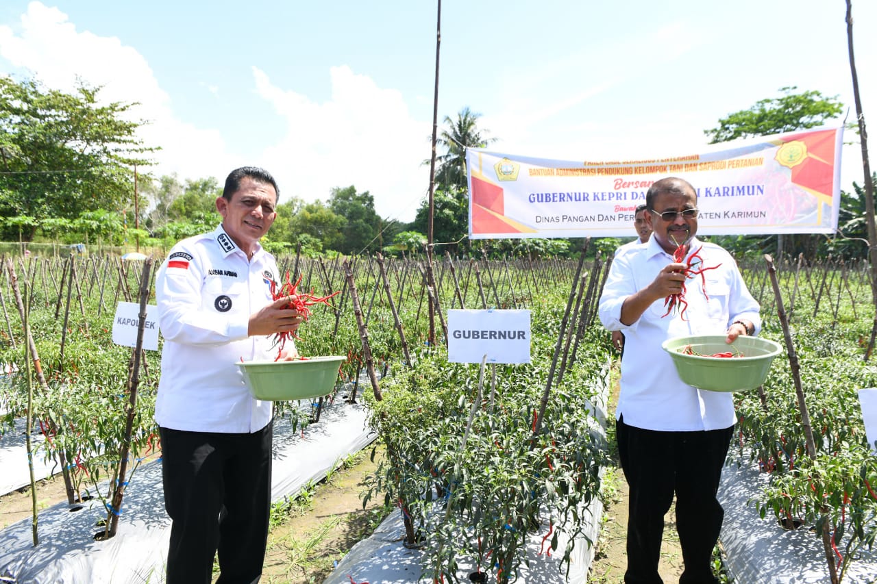 Serahkan Bantuan Untuk Petani Cabai di Moro, Ansar Sebut Komoditi Cabai Berpengaruh Besar Terhadap Inflasi