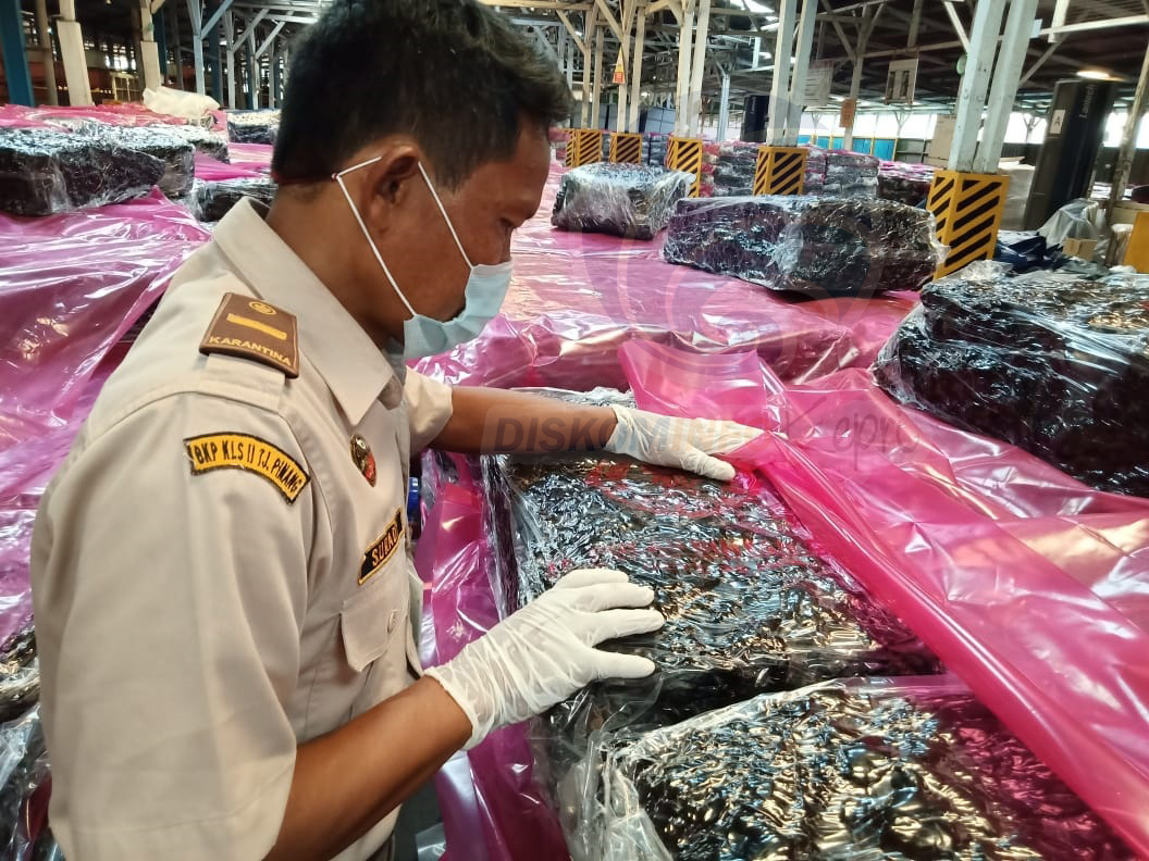Karet Bintan Tembus Perancis dan Belanda