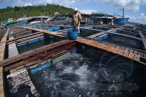 Anambas Terima Penghargaan Coverage Share BPJAMSOSTEK Tertinggi Se Kepri