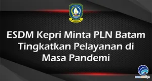 ESDM Kepri Minta PLN Batam  Tingkatkan Pelayanan di  Masa Pandemi