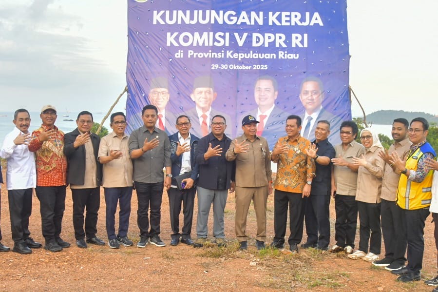 Ansar dan Nyanyang Dampingi Komisi V DPR RI Tinjau Lokasi Pembangunan Jembatan Batam–Bintan