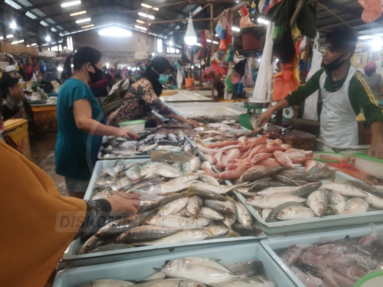 Harga Ikan di Tanjungpinang  Relatif Murah
