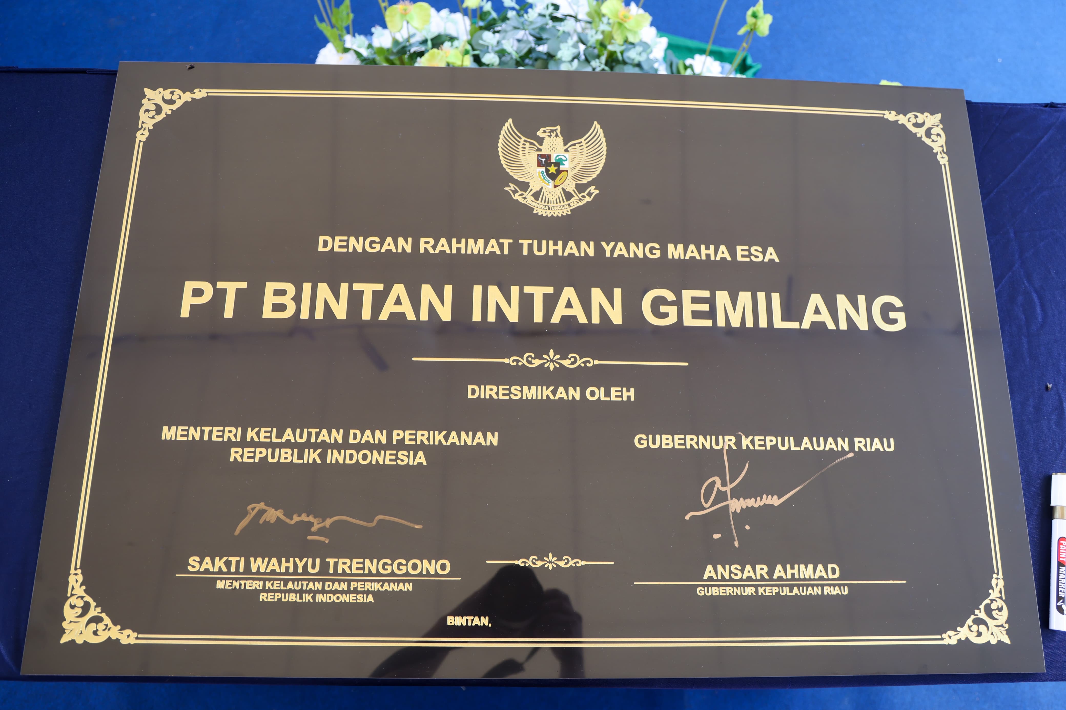 Menteri KKP dan Gubernur Ansar Resmikan Pabrik Pengolahan Ikan PT BIG, Dorong Hilirisasi Perikanan Kepri