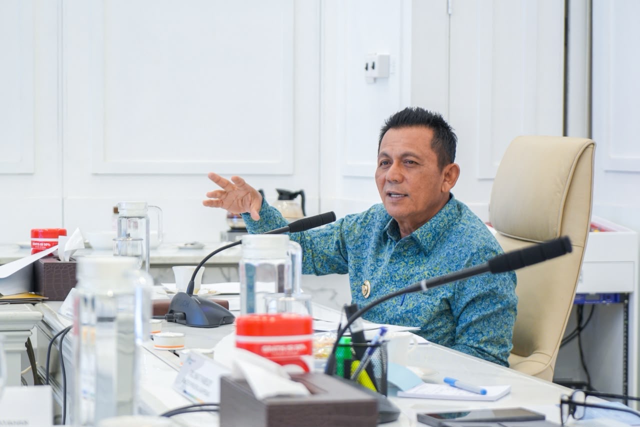 Audiensi dengan Menteri Bappenas, Gubernur Ansar Dorong Percepatan Penataan Kawasan Pulau Penyengat