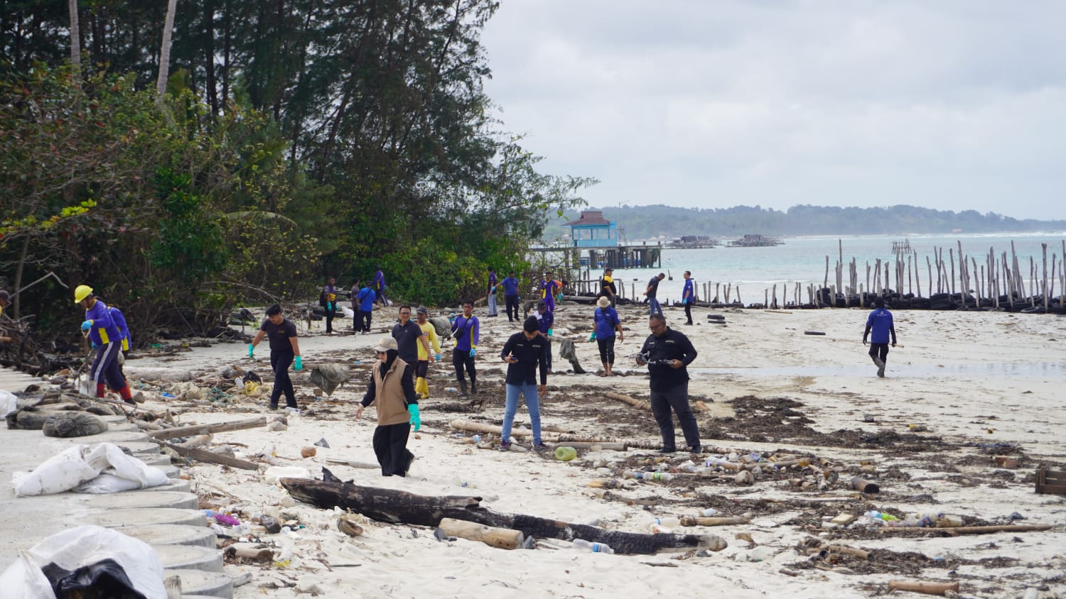 Atasi Dampak Limbah Minyak Hitam Pemprov Kepri  Stakeholder Terkait Gelar Aksi Bersih Pesisir Timur Bintan