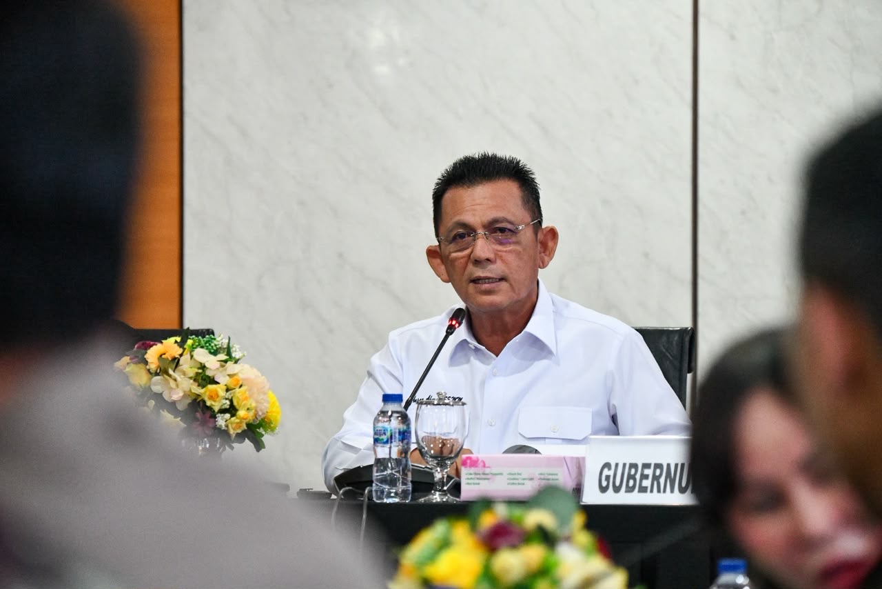 Terima Komisi II DPR RI, Gubernur Ansar Pastikan Program Nasional Berjalan Baik
