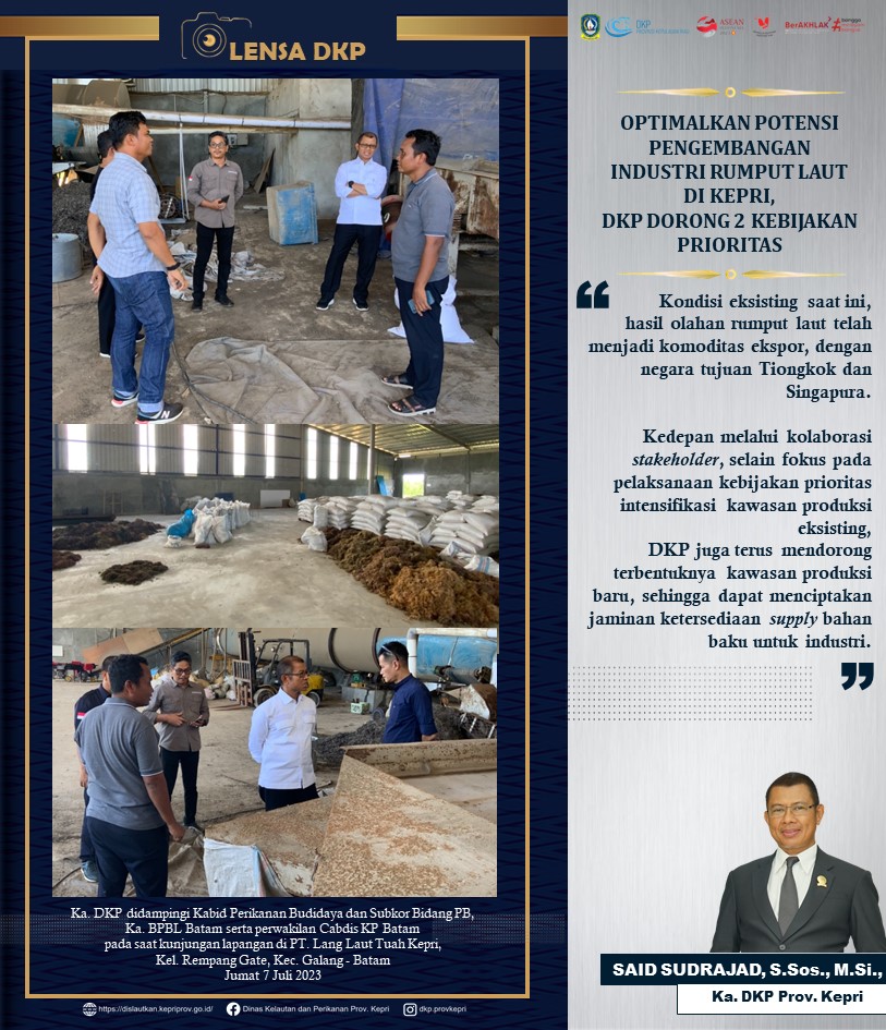 Potensi Pengembangan Industri Rumput Laut Kepri