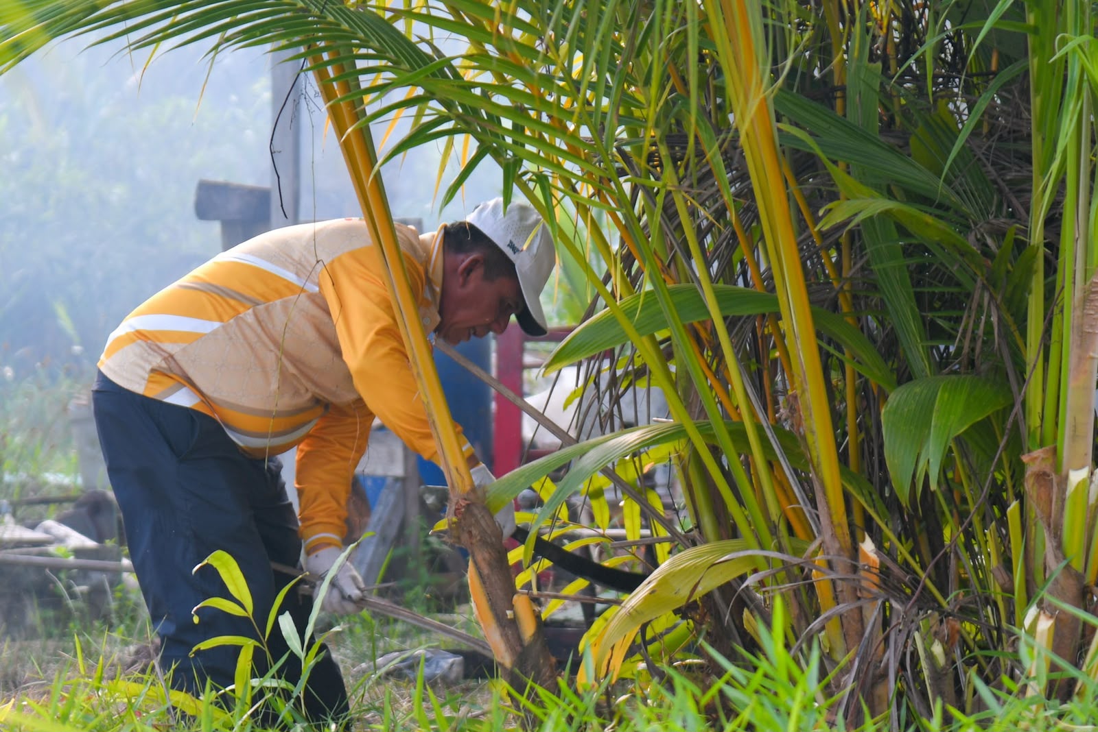 Gubernur Ansar Pimpin Gotong Royong di Pulau Penyengat