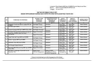 DIP BKD 2025