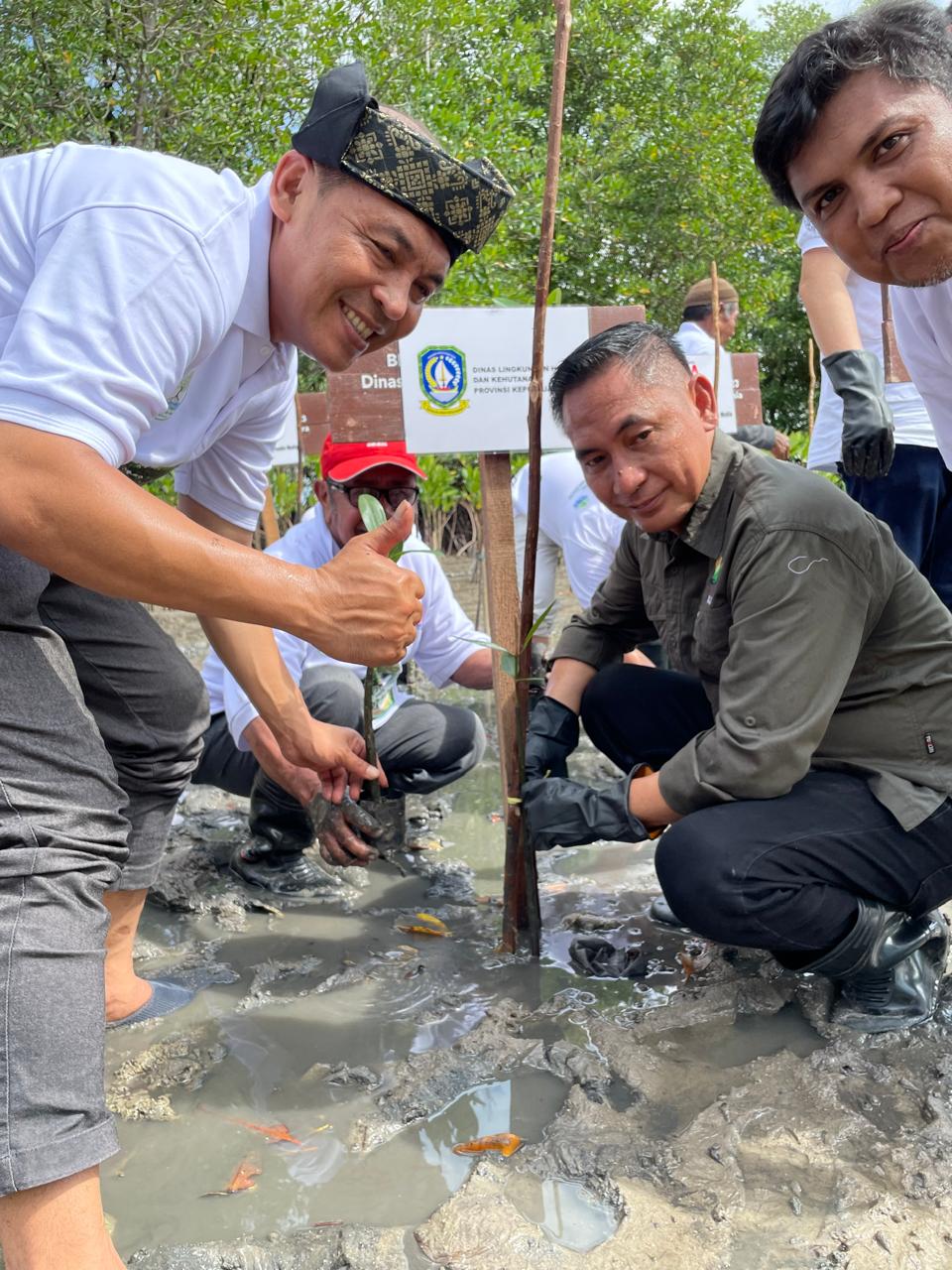 Kepala Dinas Lingkungan Hidup dan Kehutanan Provinsi Kepulauan Riau, menghadiri Kegiatan Penanaman Mangrove dalam rangka pelaksanaan PROPER.