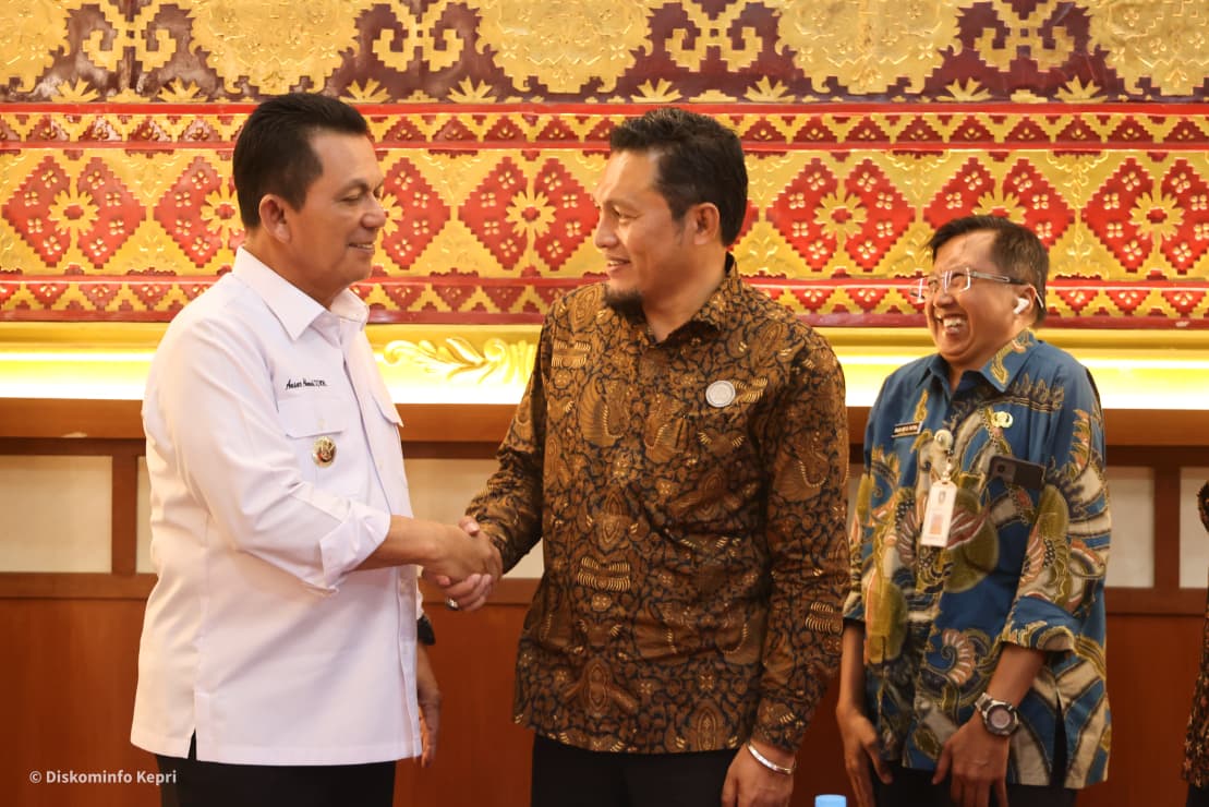 Gubernur Ansar Bahas Penguatan Internet dan Green Energy Bersama PLN Icon Plus