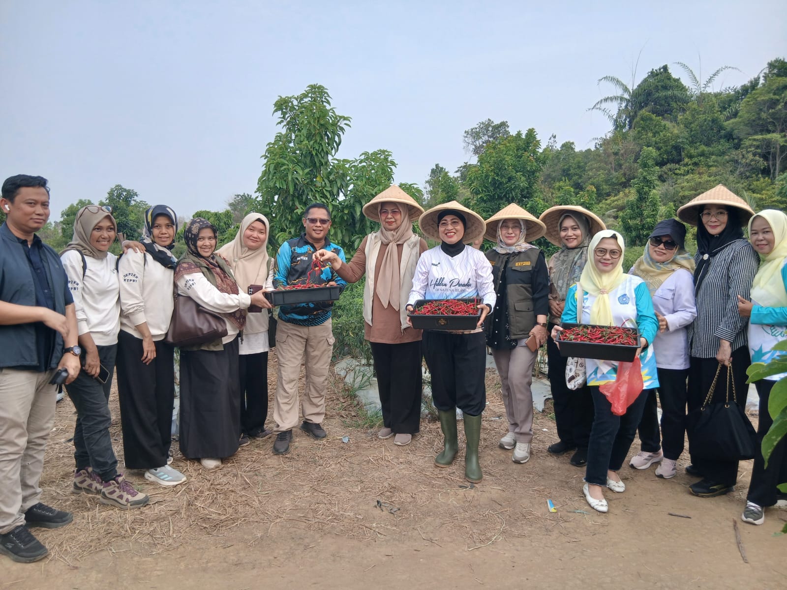 Ketua PKK  Kepri, Sekdaprov dan  DKP2KH  Kepri Panen Cabe bersama 