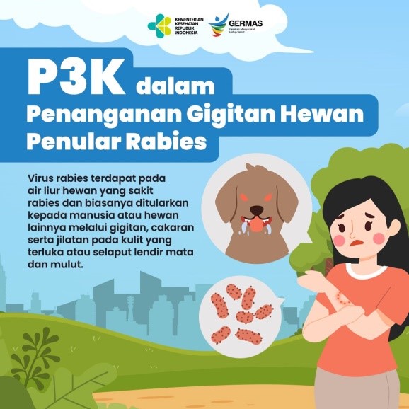 Pertolongan Pertama Dalam Pencegahan Gigitan Hewan Penular Rabies