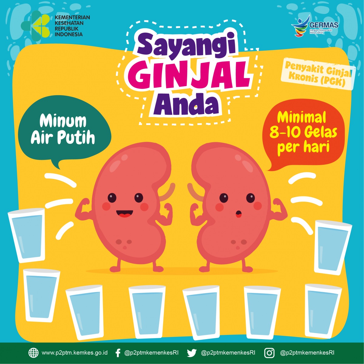 Hari Ginjal Sedunia : Yuk Cegah Penyakit Ginjal Sejak Dini