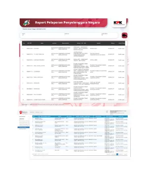 Report Penyelenggaraan Negara LHKPN Tahun 2025