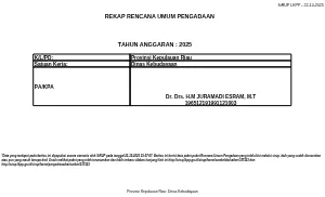 RUP APBD-P 2025