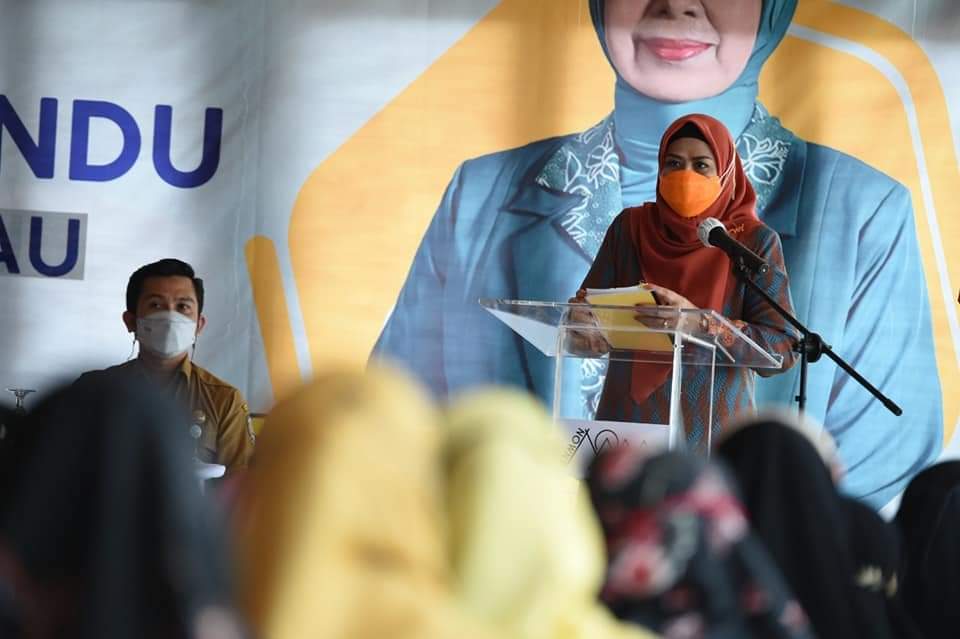 Temu Kader Posyandu Tingkat Provinsi Kepulauan Riau di Kabupaten Bintan Tahun 2021