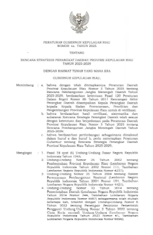 PERGUB RENSTRA PROVINSI KEPRI TAHUN 2025-2029