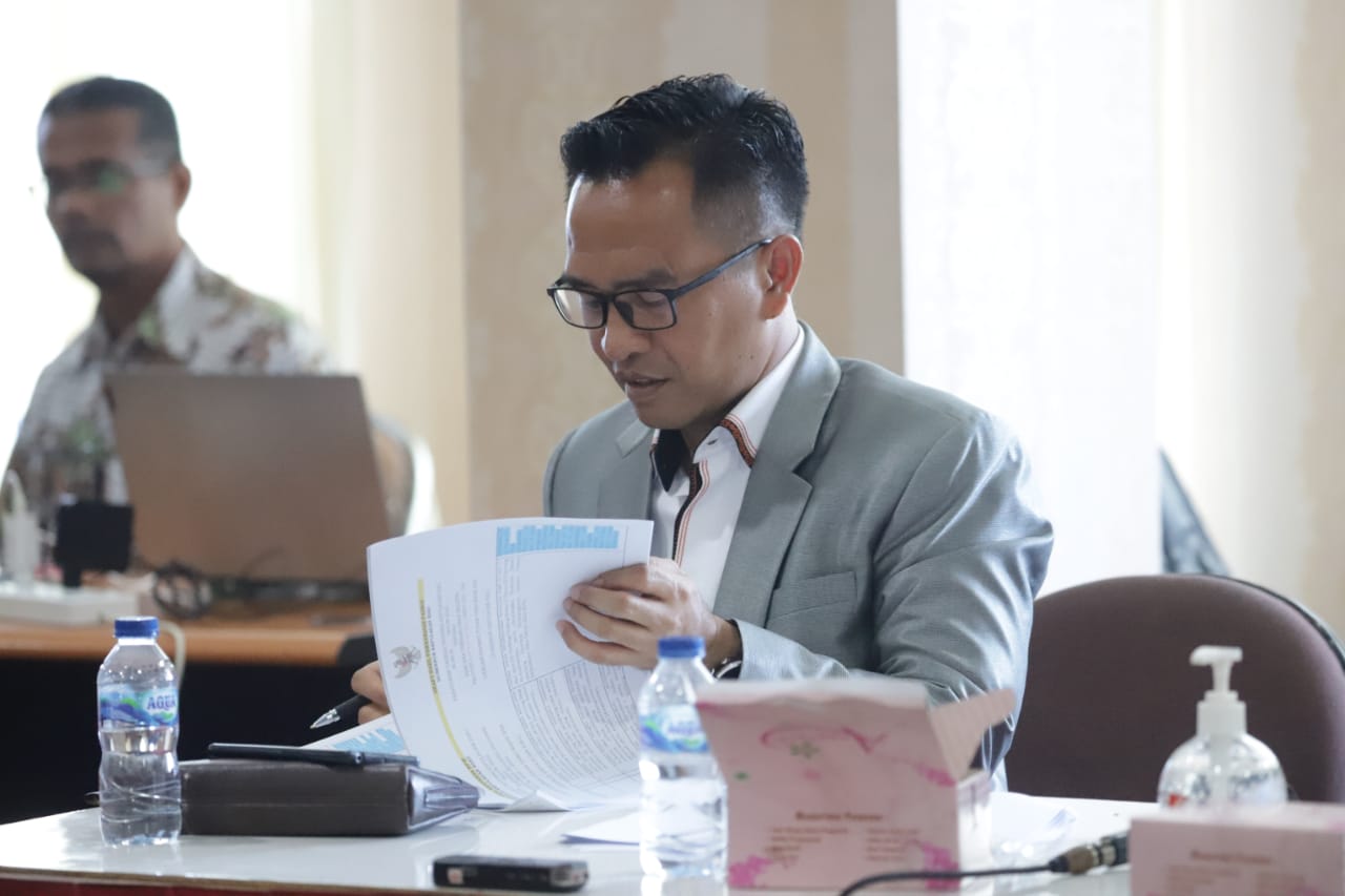 Ketua Komisi II Minta Pemprov Kepri Bentuk Tim Investasi Daerah