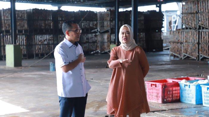 Sekretaris Komisi II DPRD Kepri Minta Pengaturan Jumlah Kelapa Ekspor, Singgung Kebutuhan Lokal