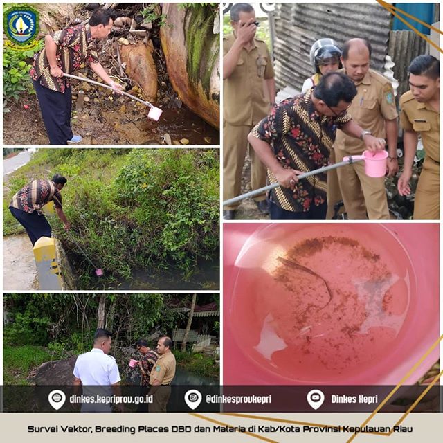 Waspada Malaria, Dinkes Kepri lakukan Survey vektor breeding places