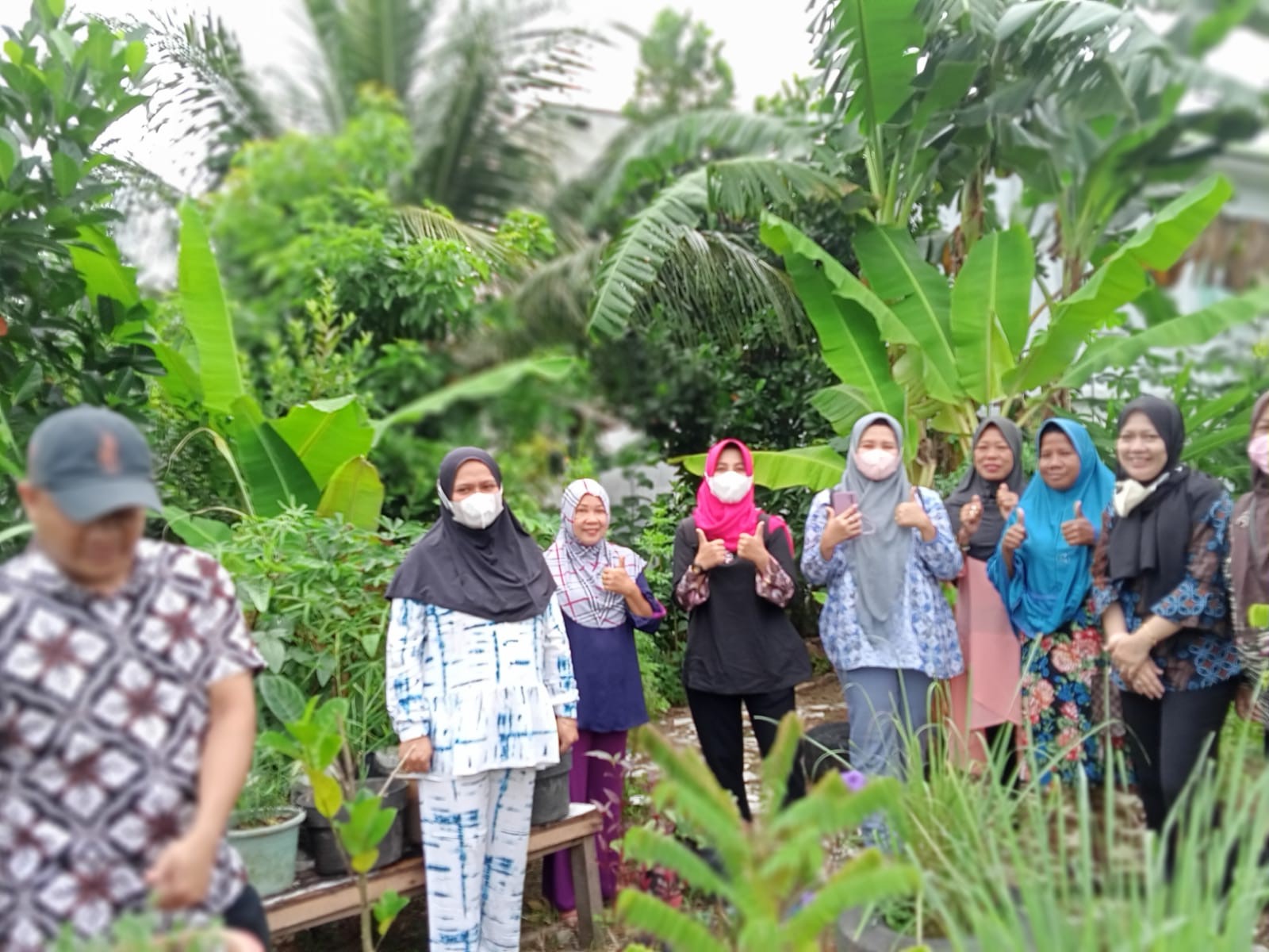 Manfaatkan Lahan Sebagai Tanaman Obat Keluarga (TOGA)