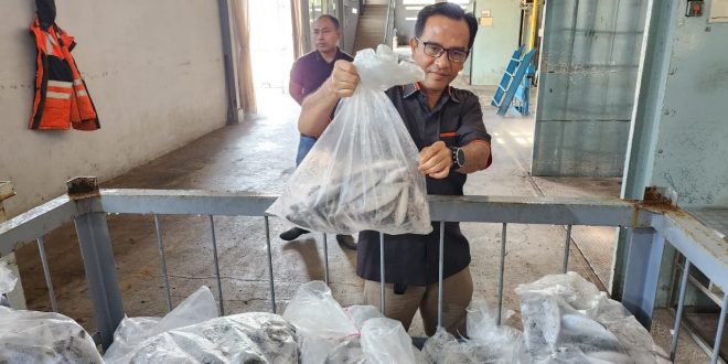 Stok Ikan Masih Banyak, Wahyu Wahyudin Minta Pemko Batam Batalkan Rencana Impor