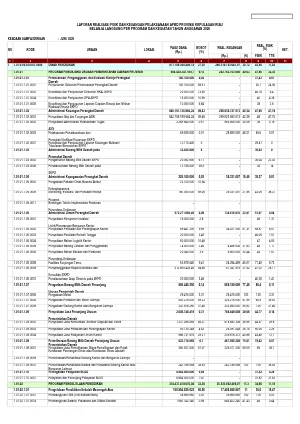 Realisasi penyerapan penggunaan keuangan Semester I Tahun 2026