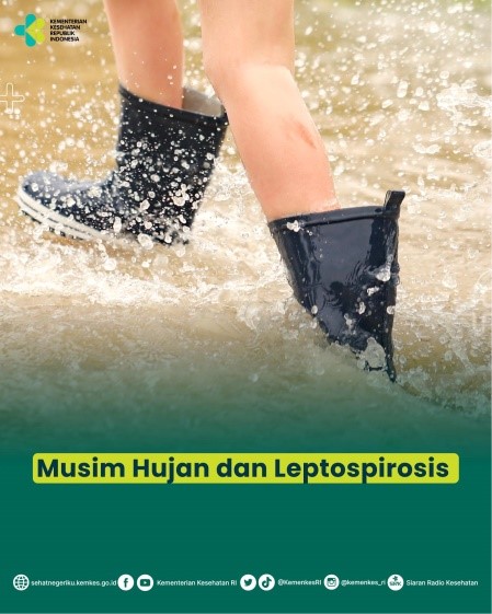 Musim Hujan, Waspadai Penyakit Leptospirosis