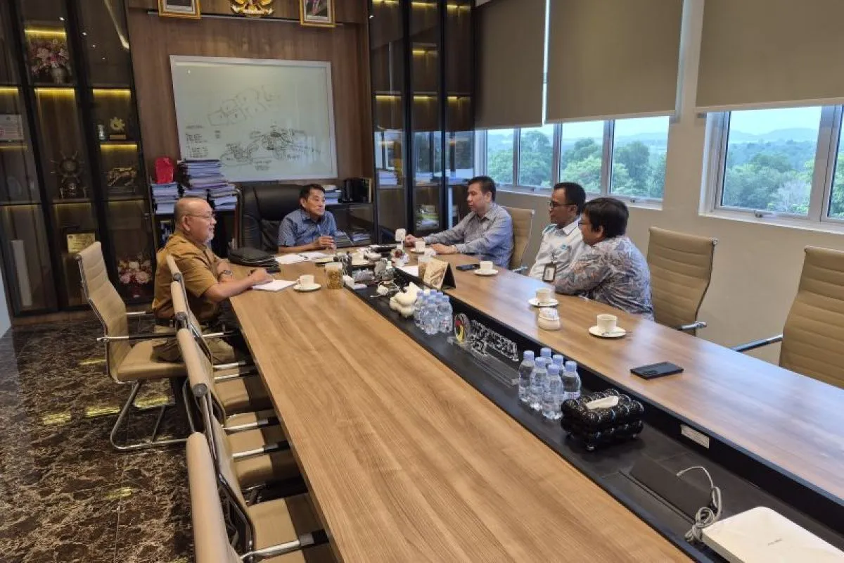 Dorong Kemandirian Listrik Pulau Bintan, Rudy Chua Kawal Rencana Pasokan 50 MW dari PT BAI ke PLN
